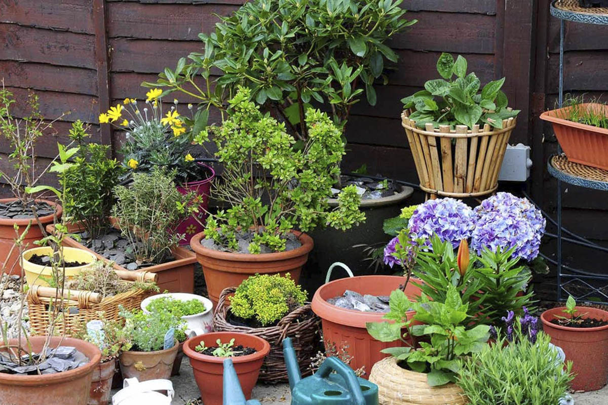 Creative and Interesting Garden Ideas