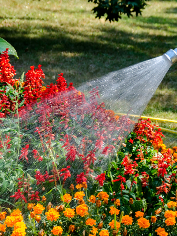 How Does Hard Water Affect Your Plants?